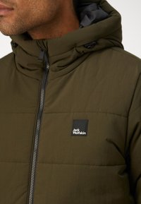 Jack Wolfskin NORTHERN LITE HOODED  - Veste d'hiver - obsidian moss