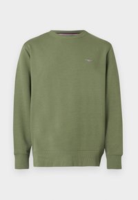 Non sélectionné, dry herb green