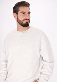 Lichtgrijze sweatshirt, ronde hals, lange mouwen, gestructureerde stof, voorzien van een subtiel tonal ontwerp op de borst, ontspannen pasvorm.
