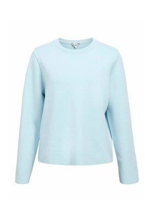 Felpa a maniche lunghe azzurro chiaro con scollo rotondo. Realizzata in tessuto morbido con una consistenza liscia. Nessun motivo o dettaglio visibile.