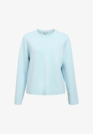 Felpa a maniche lunghe azzurro chiaro con scollo rotondo. Realizzata in tessuto morbido con una consistenza liscia. Nessun motivo o dettaglio visibile.