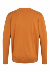 Pull à manches longues orange brûlé uni avec poignets, ourlet et encolure ronde côtelés, présenté de dos sur fond blanc.