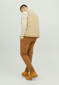 Jack & Jones JJIGORDON JJNEWSOFT NOOS - Pantalones deportivos - otter