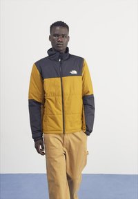 The North Face GOSEI  - Winterjacke - moss green