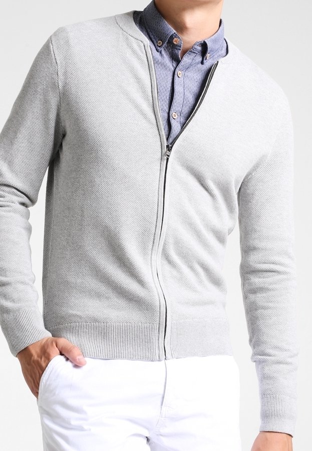 Lichtgrijze sweater met rits, een geribbelde zoom en lange mouwen, gecombineerd met een blauw overhemd eronder met een gestructureerde stof.