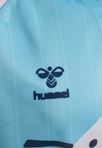 Ljusblå sporttröja med vertikala ränder, med en mörkblå logotyp och texten "hummel" i den nedre delen. Slät, texturerad tyg.