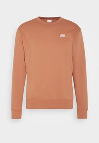 Rustfärgad sweatshirt, blandning av bomull, rund halsringning, långa ärmar, rätad mudd och fåll, med en vit Nike-logotyp på vänster bröst.