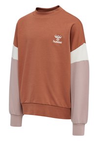 Brun sweatshirt med vita och ljusrosa ärmar. Rund hals, ribbade muddar och en liten logotyp på bröstet. Mjuk, avslappnad design.