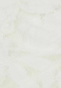 Tissu en dentelle blanche avec un motif floral, présentant une surface douce et texturée ainsi que des bords délicats et festonnés.