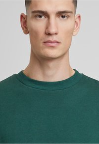 Maglione verde in cotone con scollo rotondo a coste e una superficie liscia. Design semplice e classico senza motivi o accenti visibili.