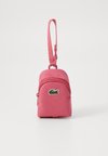 COIN PURSEUNISEX - Nøkkelholder - claret red