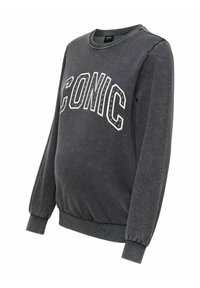Sudadera gris de manga larga, con cuello redondo, puños y dobladillo elásticos. Presenta la palabra "ICONIC" en blanco con tachuelas aplicadas.