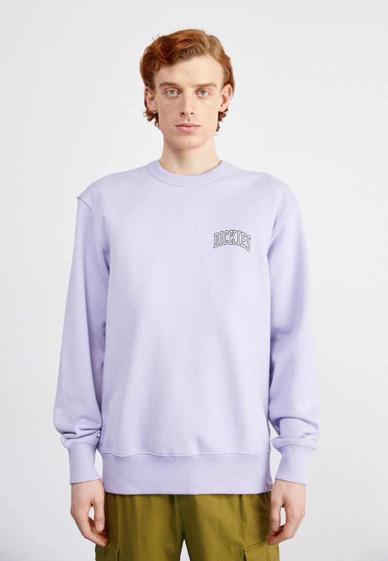 Dickies AITKIN CHEST UNISEX - Felpa - cosmic sky