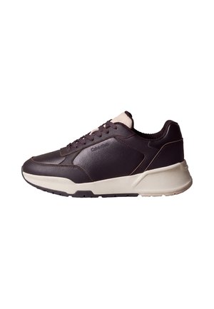 Ciemnobrązowy skórzany sneaker z beżowym wyściełanym językiem i podeszwą, oznaczony marką Calvin Klein z boku i na podeszwie, widoczny z zewnątrz.