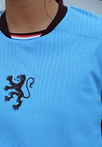 Helesinine spordipaita tekstuuriga triipudega, must krae ja must lõvi embleem ees. Omab punaseid ja siniseid aktsente.