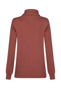 Maglione di colore ruggine lavorato a maglia, con colletto alto, maniche lunghe, polsini e orlo a coste. Tessuto morbido senza motivi visibili.