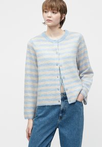 Mladý človek s krátkymi vlasmi, oblečený v pruhovanom svetri s modro-bežovými pruhmi a zapínaním na gombíky, nosí modré jeansy a má jednu ruku v vrecku, pozerá sa doľava.
