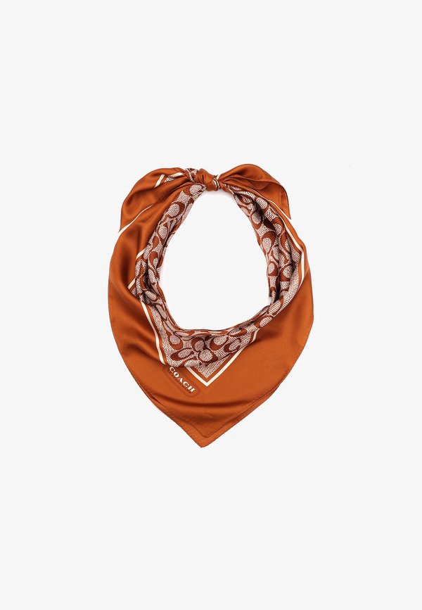 Foulard - dark beige - Main Image