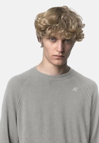 Maglione grigio chiaro in materiale morbido con collo rotondo, polsini a costine e un sottile dettaglio logo sul petto. Texture liscia.