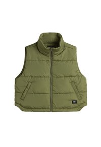 Unausgewählt, loden green