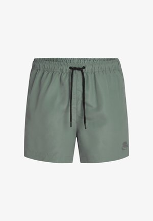 Green men's swim shorts with black adjustable drawstring and small logo on lower left leg.