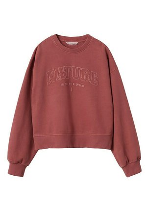 Sweatshirt à col rond couleur rouille avec poignets et ourlet côtelés, portant le texte "NATURE INTO THE WILD" brodé sur le devant.