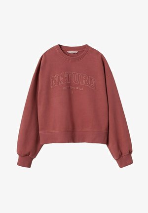 Sudadera de color óxido con cuello redondo y puños y dobladillo acanalados, con el texto "NATURE INTO THE WILD" bordado en el frente.