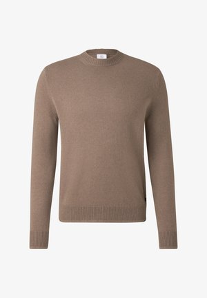 Bruine gebreide trui met een ronde hals, lange mouwen en geribbelde boorden. De stof heeft een zachte textuur en een effen kleur zonder patronen.