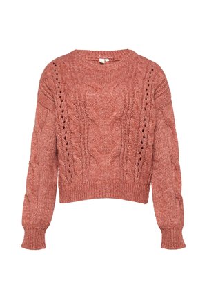 Pull à torsades tricoté en corail doux, avec un col rond, des manches longues, une coupe courte et des motifs complexes sur le devant et les manches.