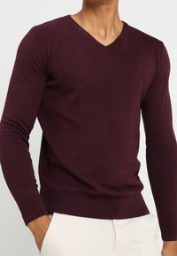 Bordeauxfarbenes Sweatshirt mit V-Ausschnitt, langen Ärmeln und gerippten Bündchen. Weiche Textur, taillierte Passform und ein kleines Logo-Detail in der Nähe der Brust.