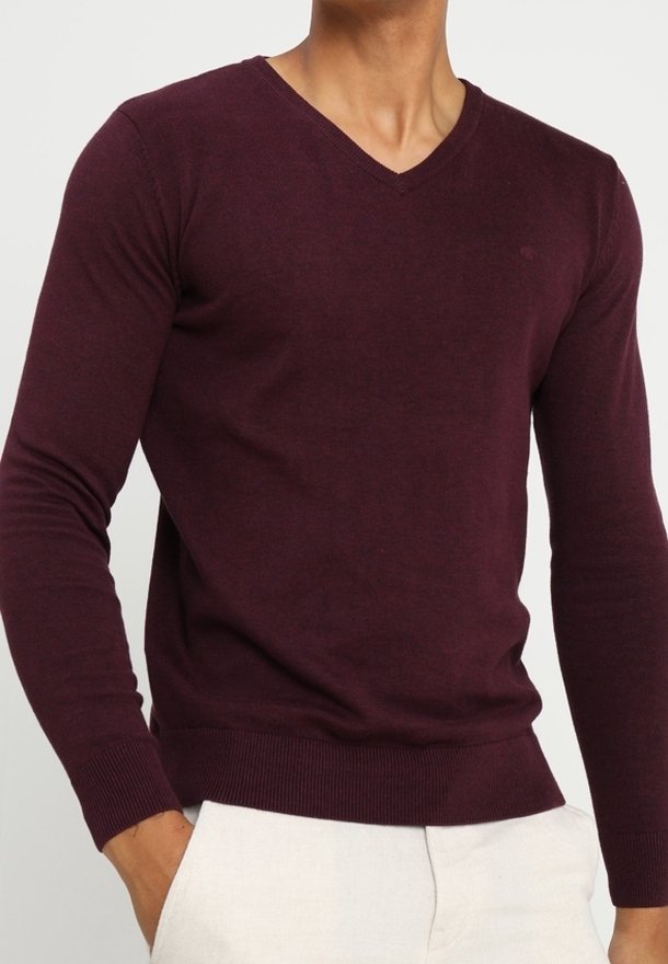 Bordeauxfarbenes Sweatshirt mit V-Ausschnitt, langen Ärmeln und gerippten Bündchen. Weiche Textur, taillierte Passform und ein kleines Logo-Detail in der Nähe der Brust.
