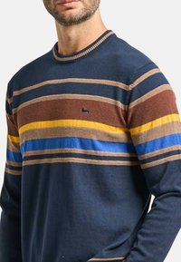 Maglione blu lavorato a maglia con strisce marroni, gialle e blu. Presenta una scollatura rotonda e un piccolo emblema sul petto. Texture morbida.