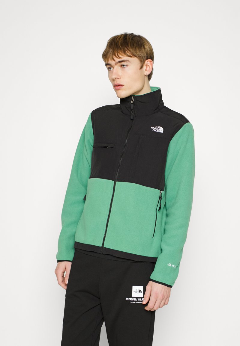 The North Face DENALI Fleecejacke deep grass green/mint