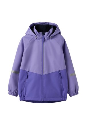 Sadetakki - aster purple