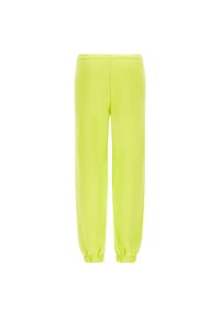 Freddy CON PATCH FENICOTTERO IN TONO - Pantaloni sportivi - verde