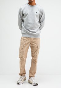 Lichtgrijze sweatshirt met een ronde hals en klein logo op de borst, gecombineerd met beige cargo pants met zijzakken en gestreepte sneakers.