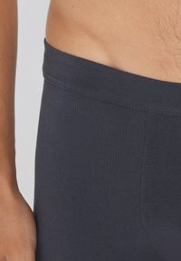 Tezenis ECO - Boxer Briefs - Grey