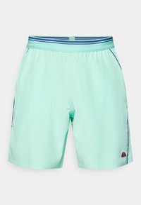 SEDGMAN SHORT - Pantaloncini sportivi - green