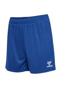 Blå träningsshorts i lätt tyg med elastisk midja. Har en vit logotyp på nedre högra sidan.