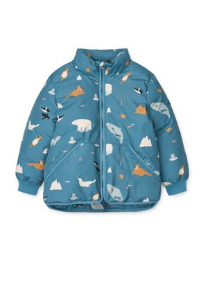 BRANTLEY UNISEX - Talvitakki - arctic sea/ocean view