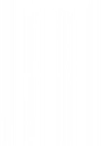 Es sind keine erkennbaren Bilddetails vorhanden, die beschrieben werden können. Bitte stellen Sie ein anderes Bild zur Verfügung oder geben Sie wichtige Merkmale an, die enthalten sein sollen.