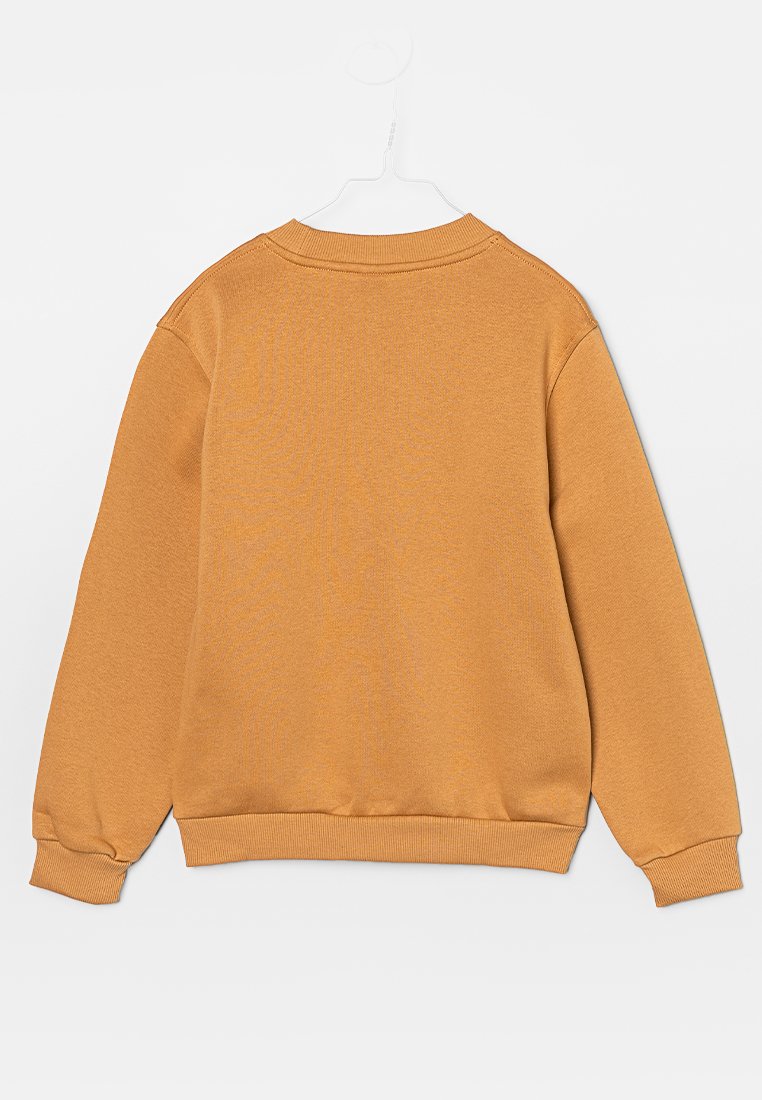 Sweat-shirt orange avec un col rond, des poignets et un bas côtelés, et un tissu doux et texturé. Conçu sans détails visibles à l'avant.