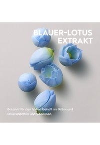 Miniatuurafbeelding 6