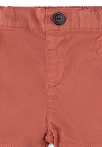 Rust-colored shorts made from lightweight fabric, featuring a button closure, side pockets, and a smooth texture.