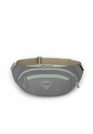 DAYLITE WAIST PACK - Riñonera - soundwave grey-latte brown