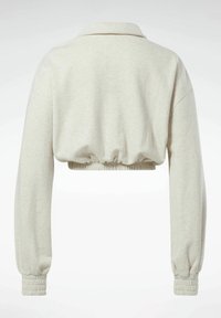 Light grey cropped sweatshirt with a collared neck, long sleeves, and elasticated cuffs and hem. Soft material with a smooth texture.