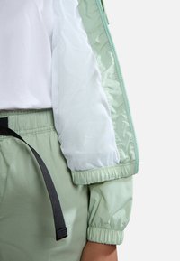 Napapijri MORGEX - Giacca sportiva - green frost ge