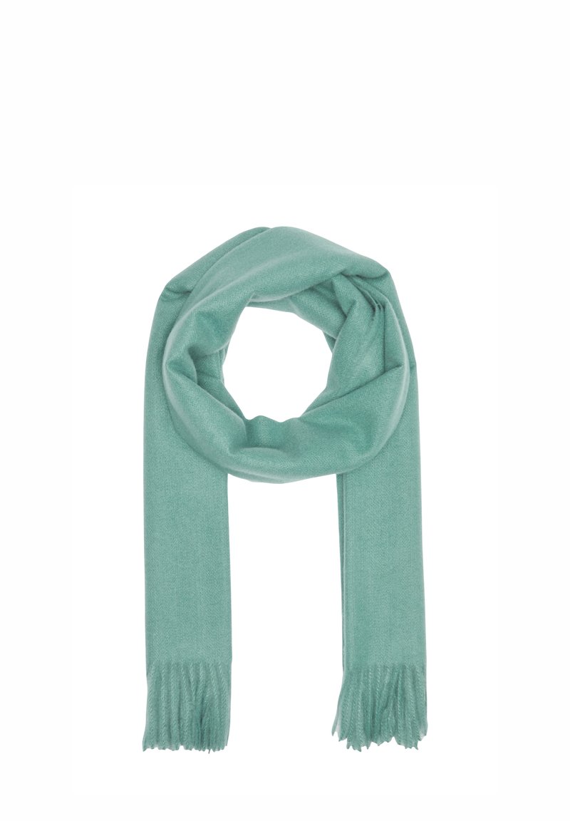 Lichtgroene sjaal met een zachte textuur, voorzien van franjes aan de uiteinden en een glad ontwerp, geschikt voor veelzijdige styling en warmte.