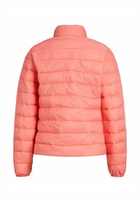 JJXX JXNORA - Giacca invernale - peach echo