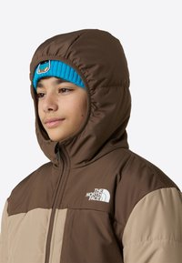 Rjava in bež izolirana jakna s kapuco. Zapenjanje z zadrgo in logotip na prsih. Debela, prešita tekstura, topel dizajn.